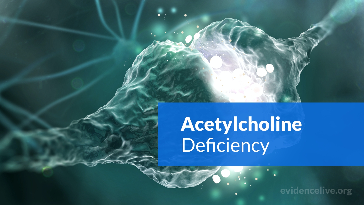 Acetylcholine Deficiency: Symptoms & Causes of Low Levels
