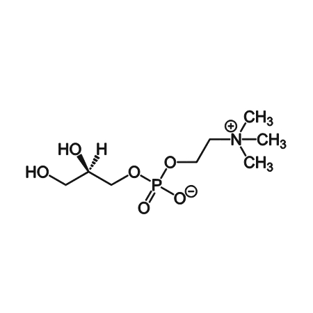 Alpha-GPC