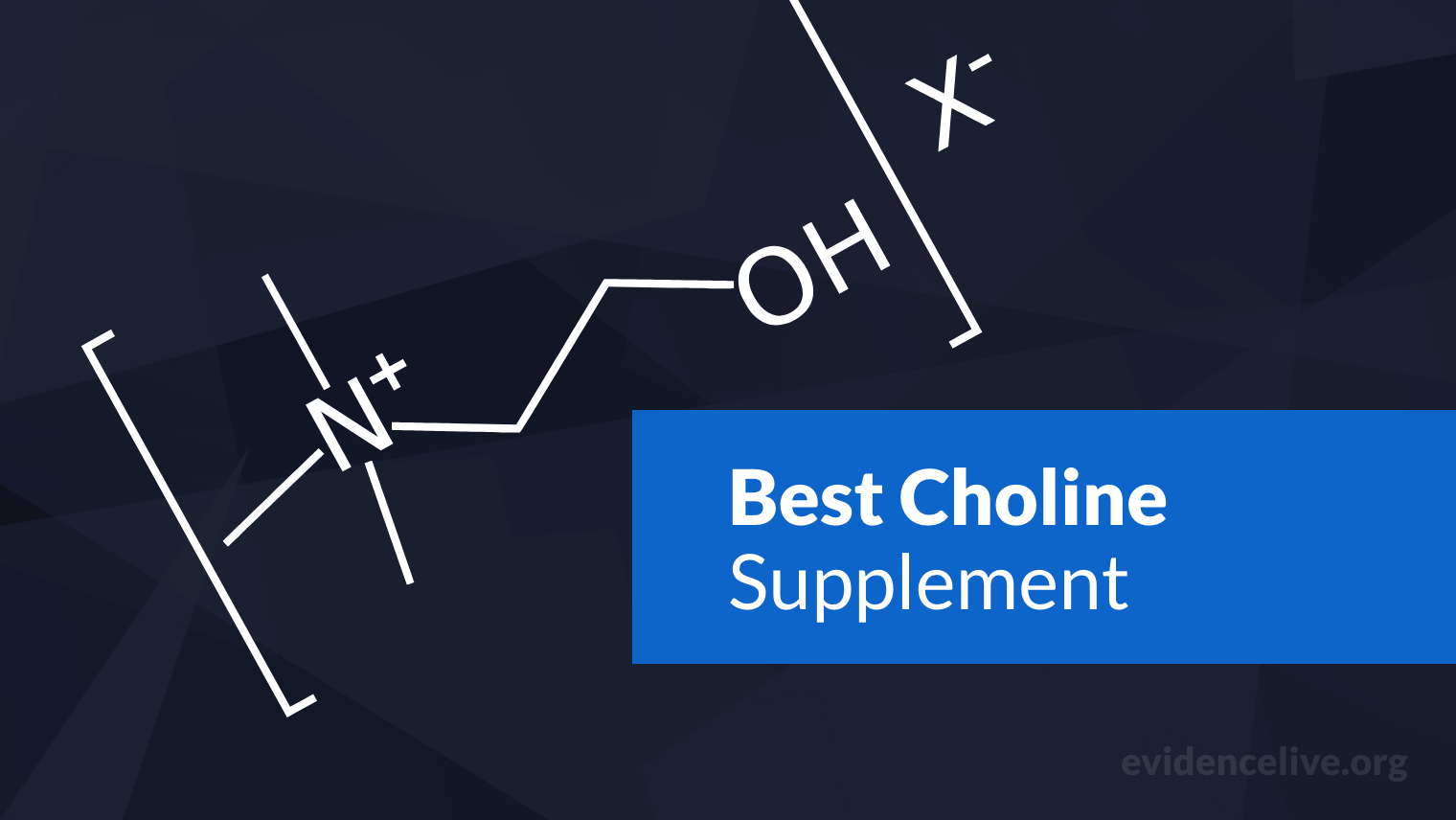 The Best Choline Supplement (Nootropic Source)