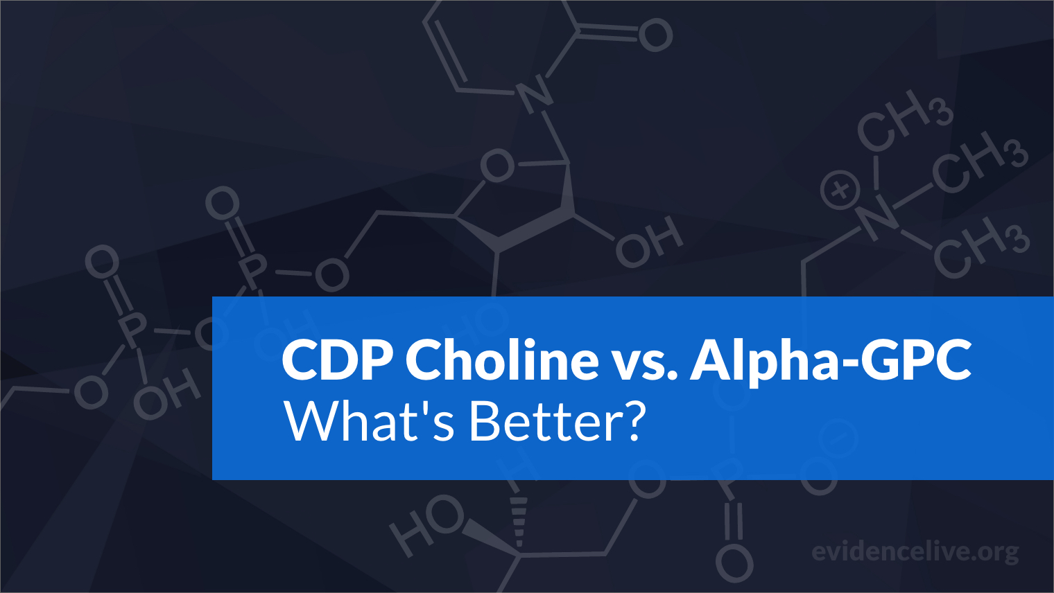 CDP Choline vs. Alpha-GPC: Differences and What’s Better