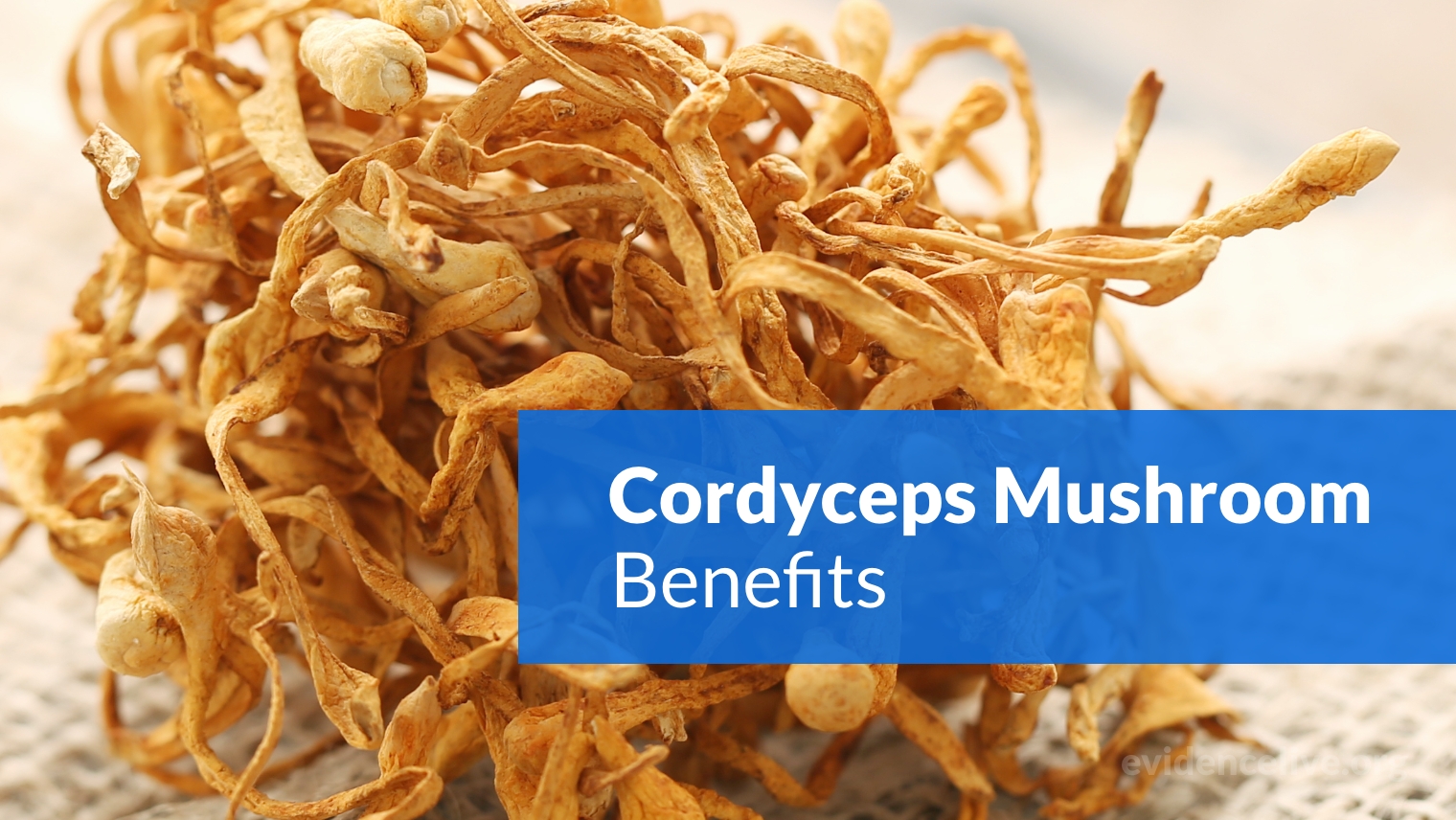 Cordyceps Mushroom: Benefits, Uses, Dosage, and Side Effects