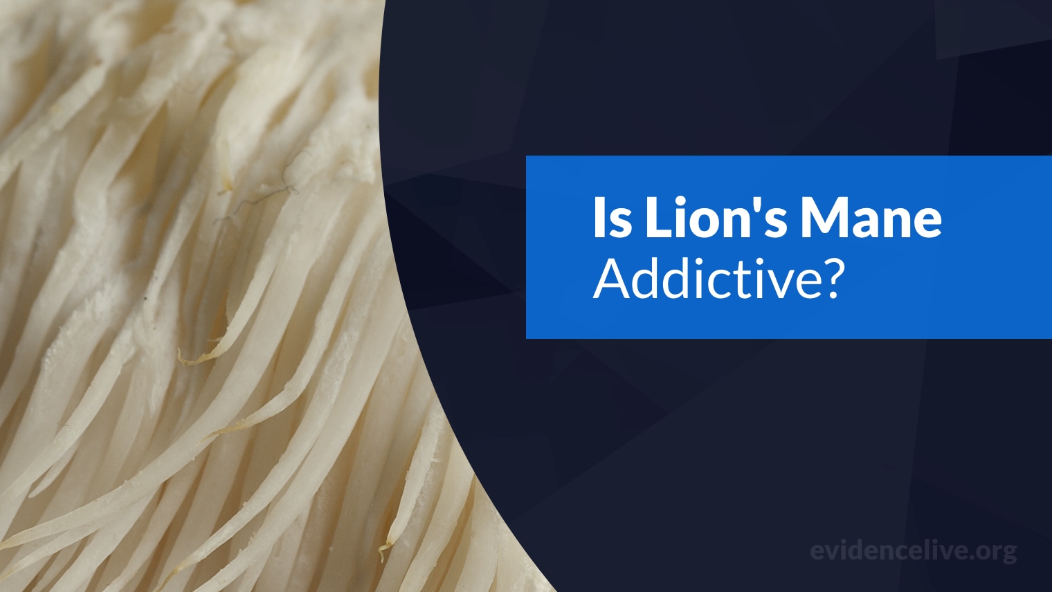 Is Lion’s Mane Addictive?