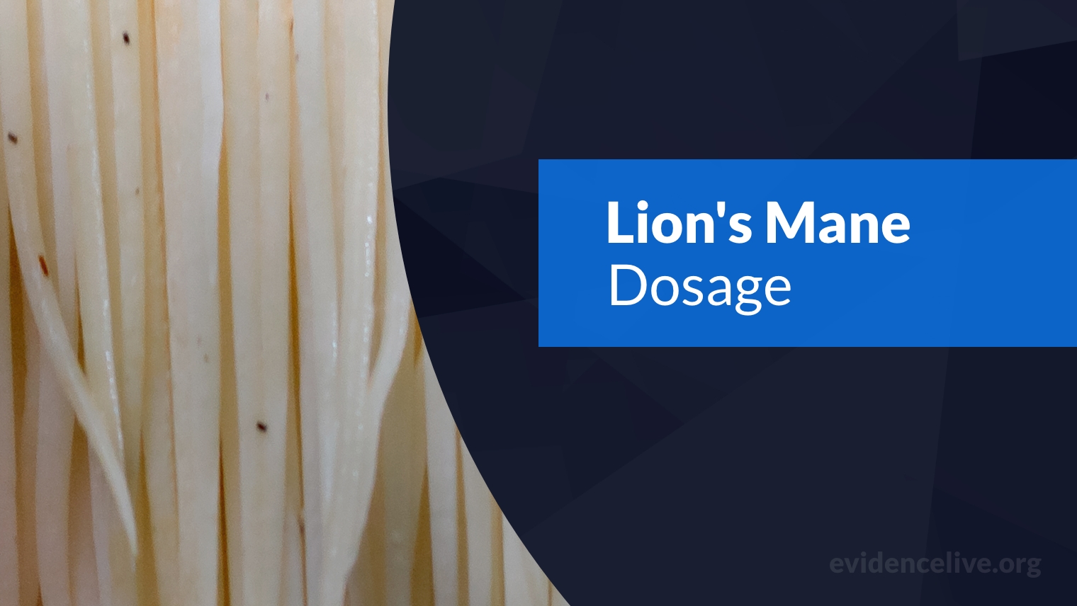 Lion’s Mane Dosage: When To Take And How Much?