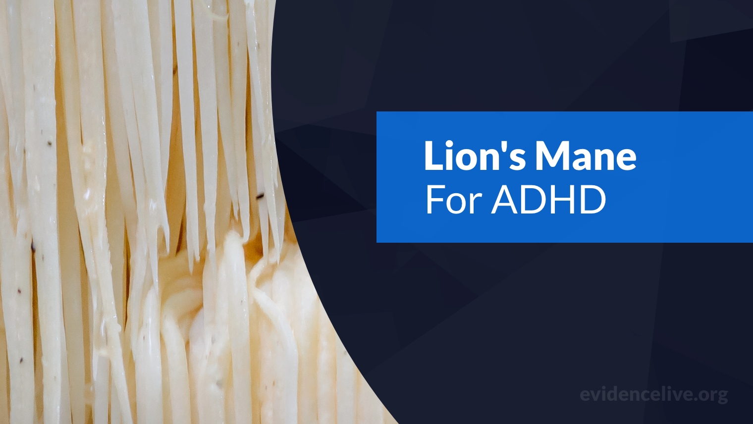 Can You Take Lion’s Mane For ADHD?