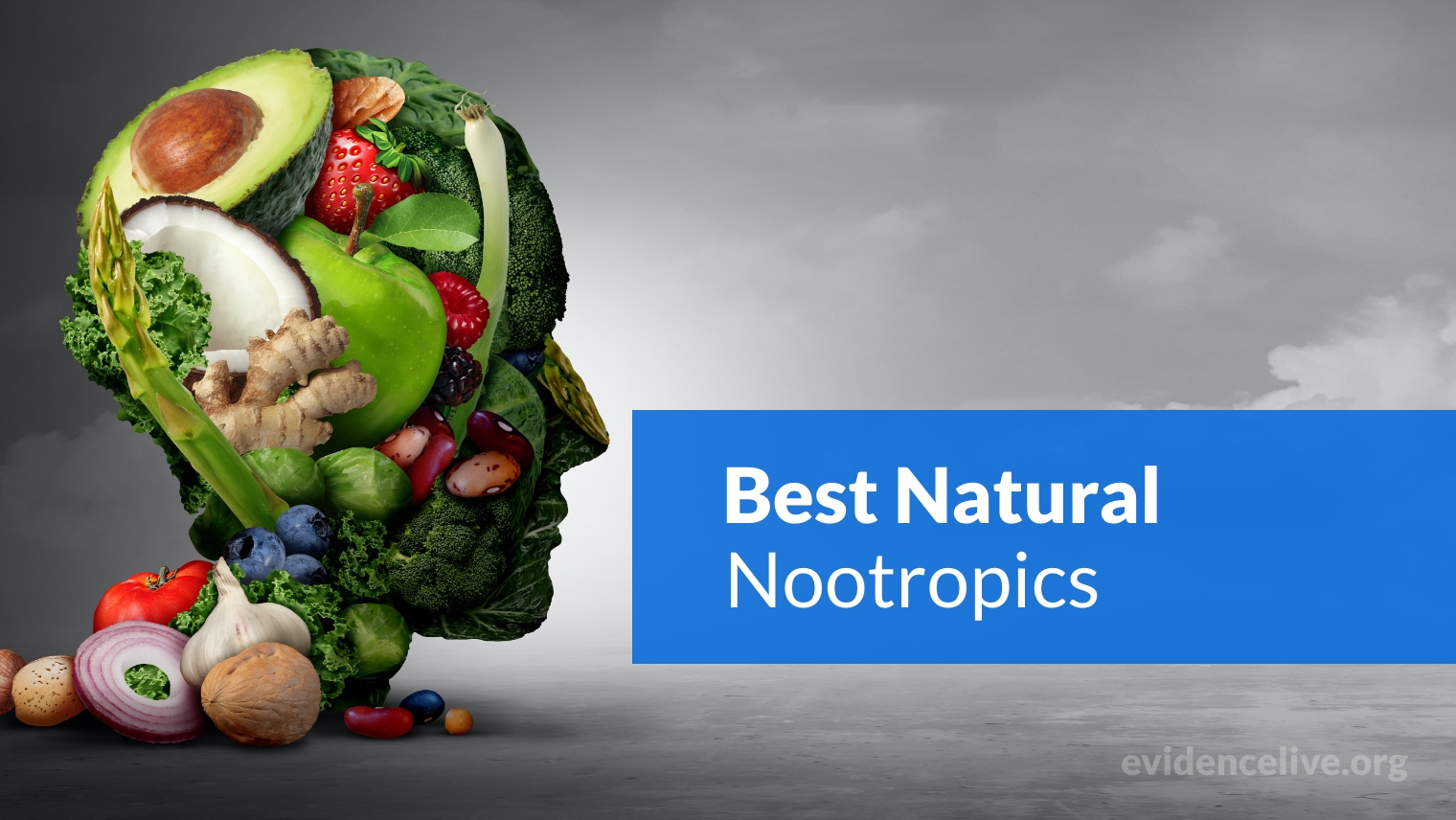 10 Best Natural Nootropics And Cognitive Enhancers
