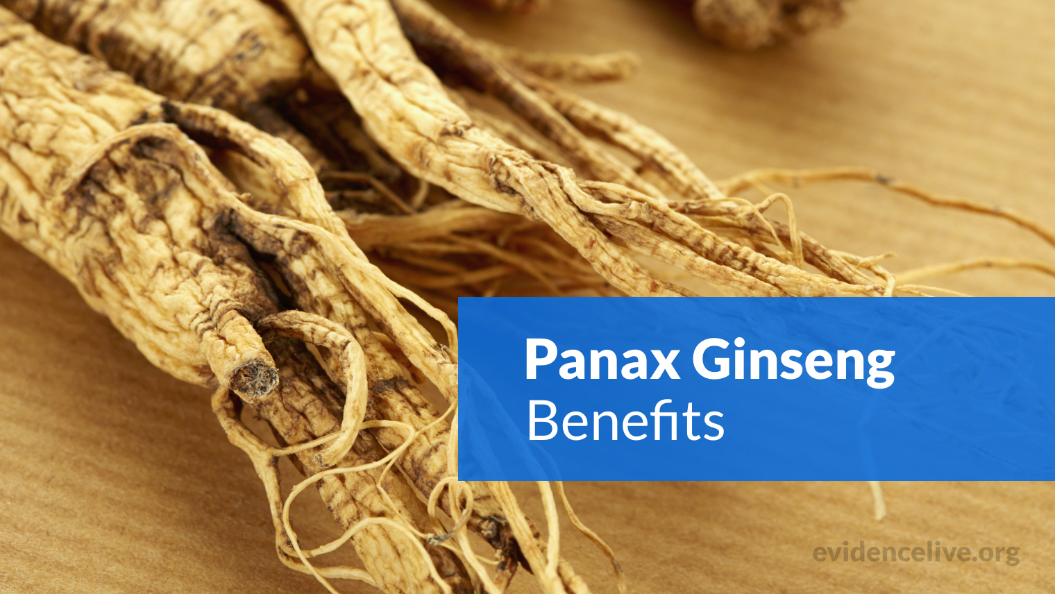Panax Ginseng Benefits: What Does This Root Extract Do?