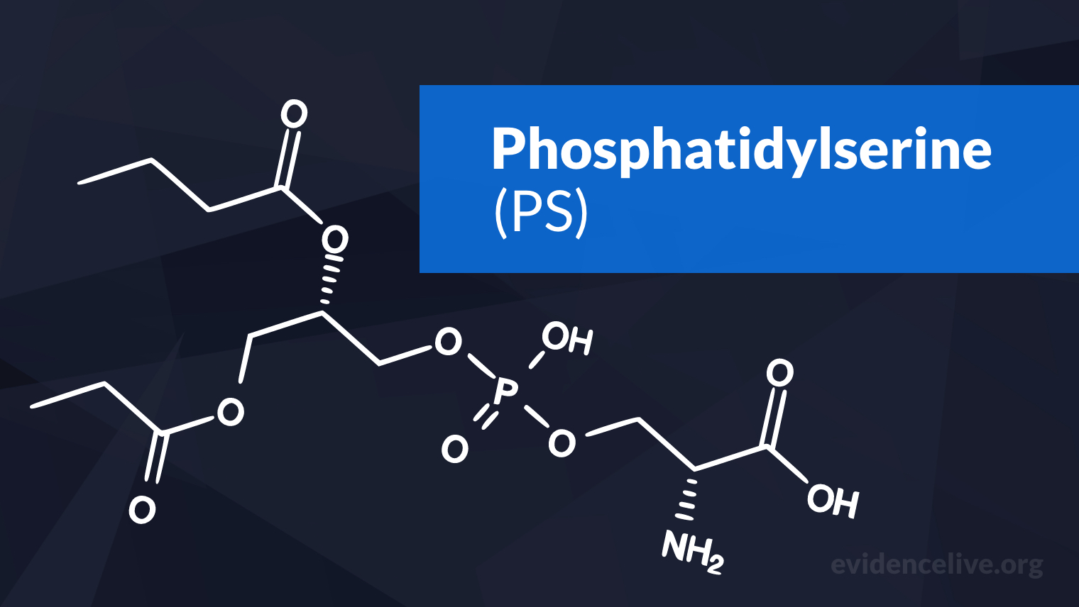 Phosphatidylserine: Benefits, Uses, Dosage, and Side Effects