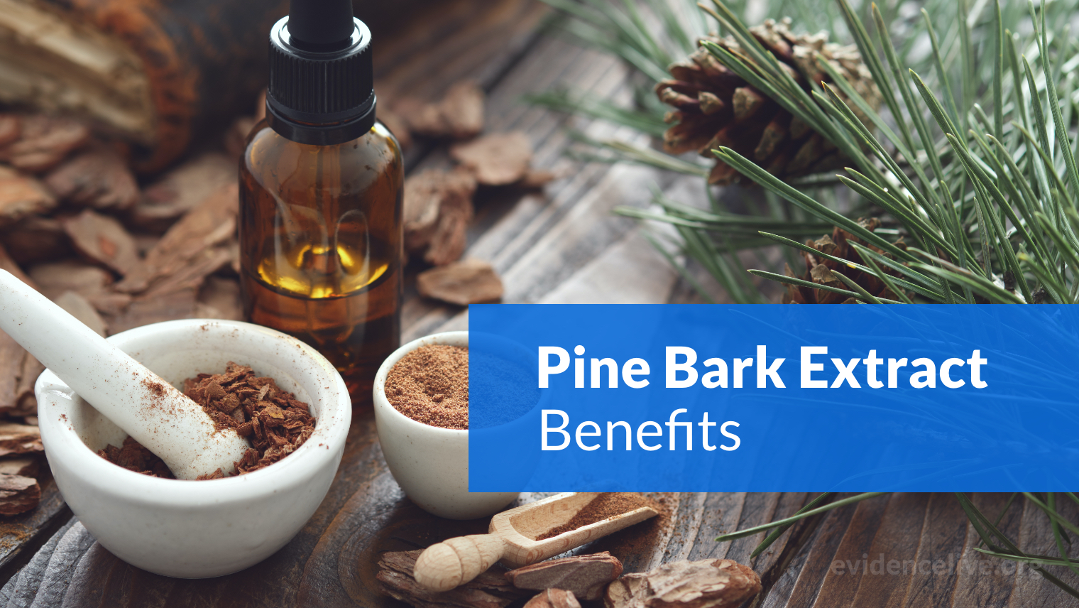 Pine Bark Extract Benefits Uses Dosage Side Effects EvidenceLive