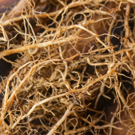 Valerian root