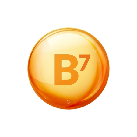 Vitamin B7