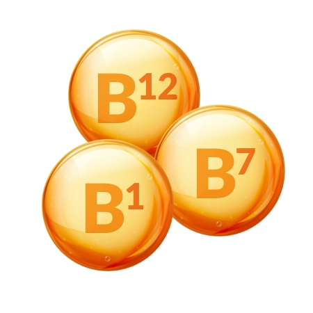 Vitamins B1, B7, B12