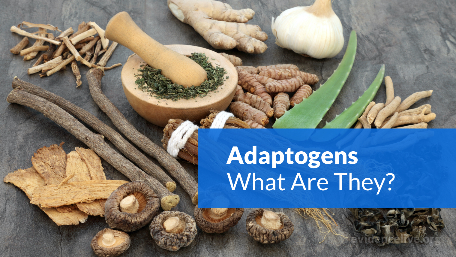 What Are Adaptogens? Do They Really Work?
