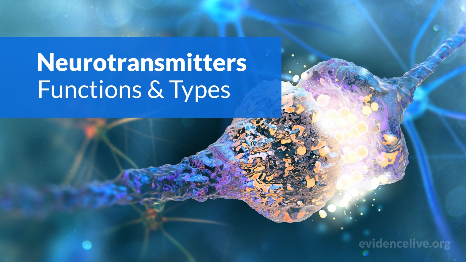 Neurotransmitters: Functions, Types, and Examples