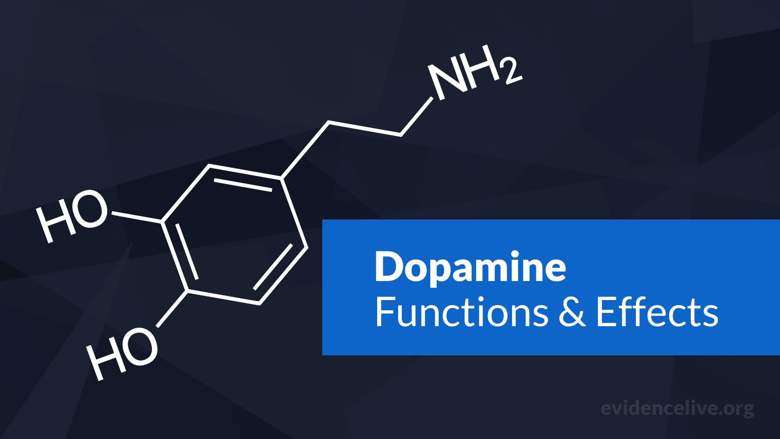 What is Dopamine? Functions and Effects In The Brain