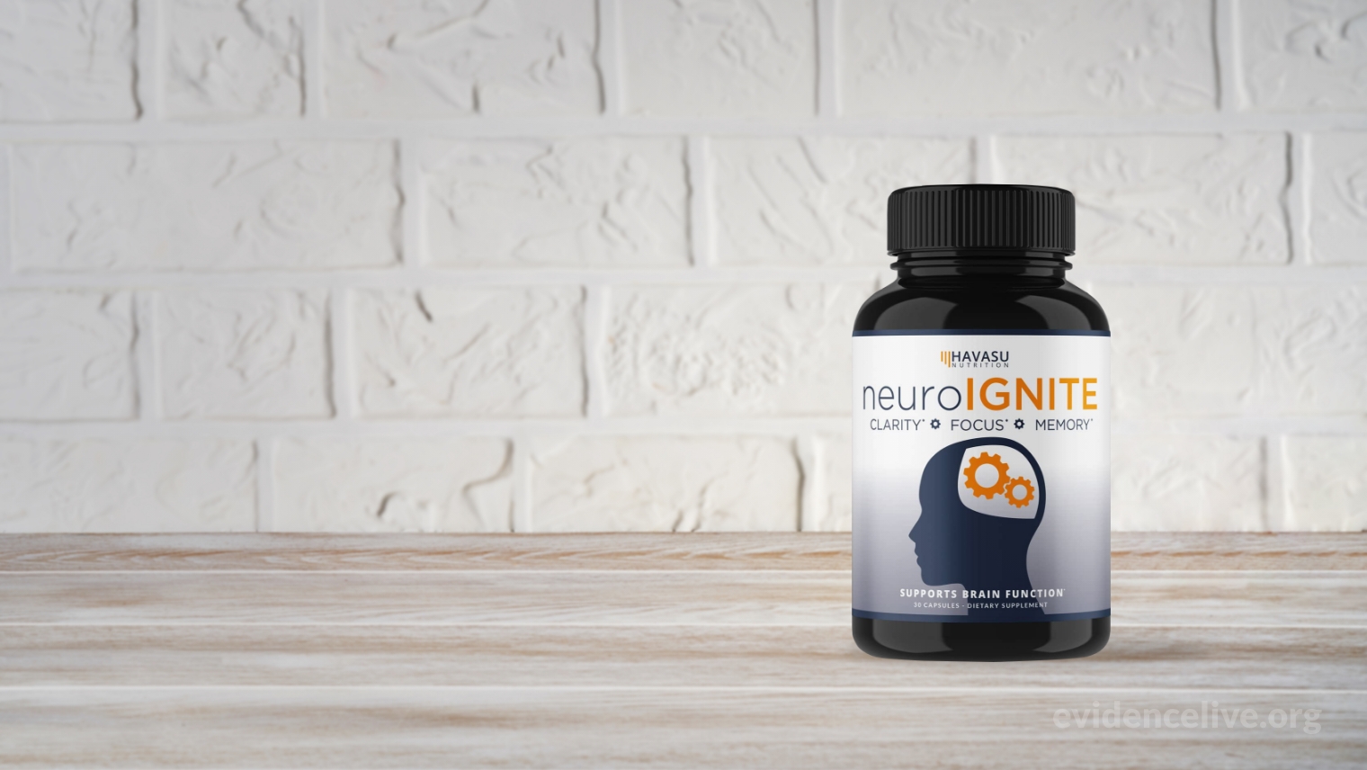 What is NeuroIGNITE