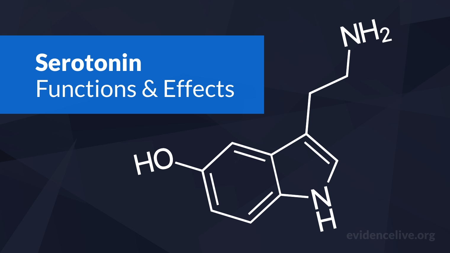 What is Serotonin? Functions and Effects In The Brain